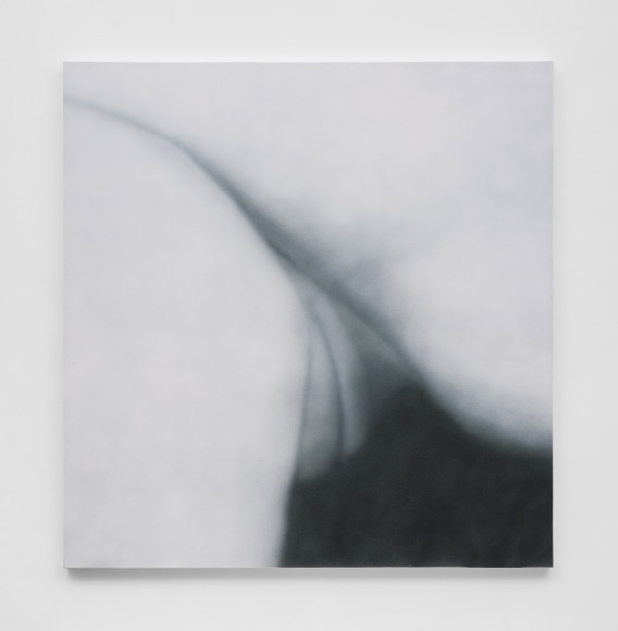 Betty Tompkins Cunt Painting #30, 2021