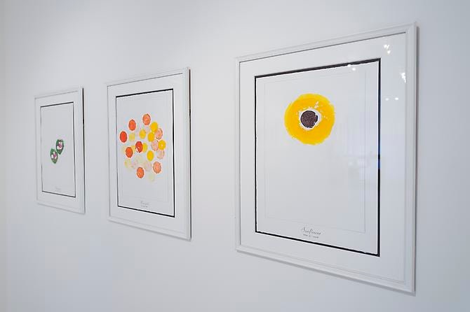 Aleksandra Mir & Andy Warhol: "The Meaning of Flowers" & "Wild Raspberries"