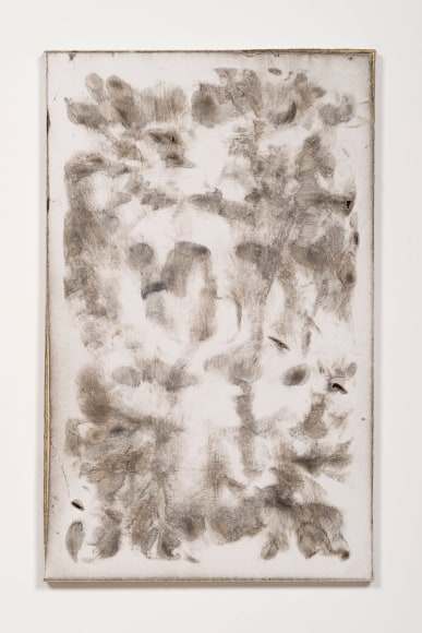 Derek Paul Boyle, Waring Ave, 2014