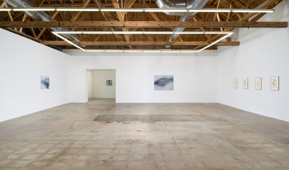 Installation view of Betty Tompkins Sex Works / WOMEN Words, Phrases and Stories