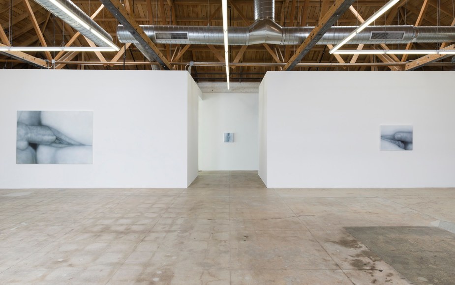 Installation view of Betty Tompkins Sex Works / WOMEN Words, Phrases and Stories