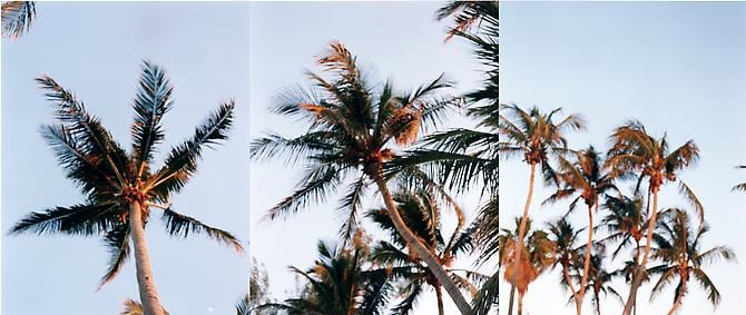 Islamorada, 2000 C-print triptych