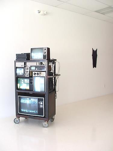 Installation View The Second Palm Beach Biennial, 2008
