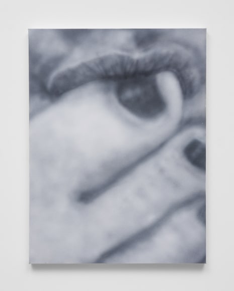 Betty Tompkins Sex Painting #7, 2020