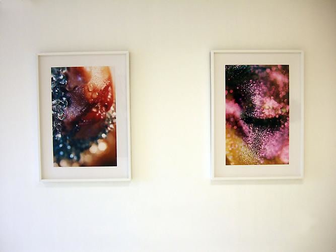 Installation View Gavlak Gallery