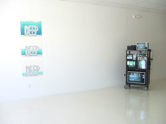 Installation View The Second Palm Beach Biennial, 2008