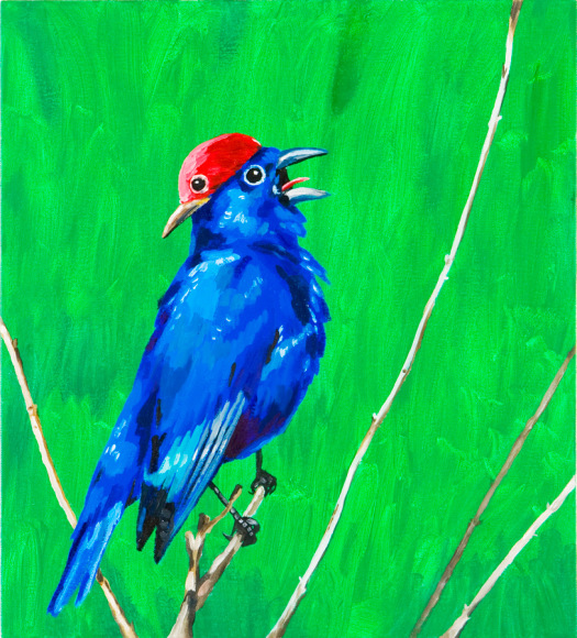 LAMAR PETERSON, Bird,&nbsp;2006