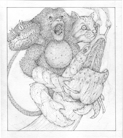 Sean McCarthy, Haborym