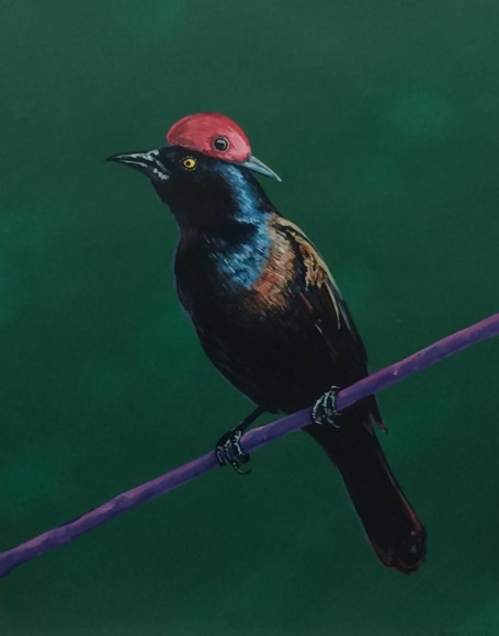 LAMAR PETERSON, Grackle,&nbsp;2014