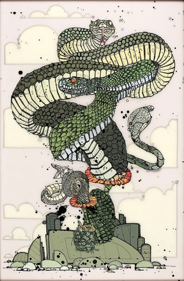 Nicholas Di Genova, Medusa Bush