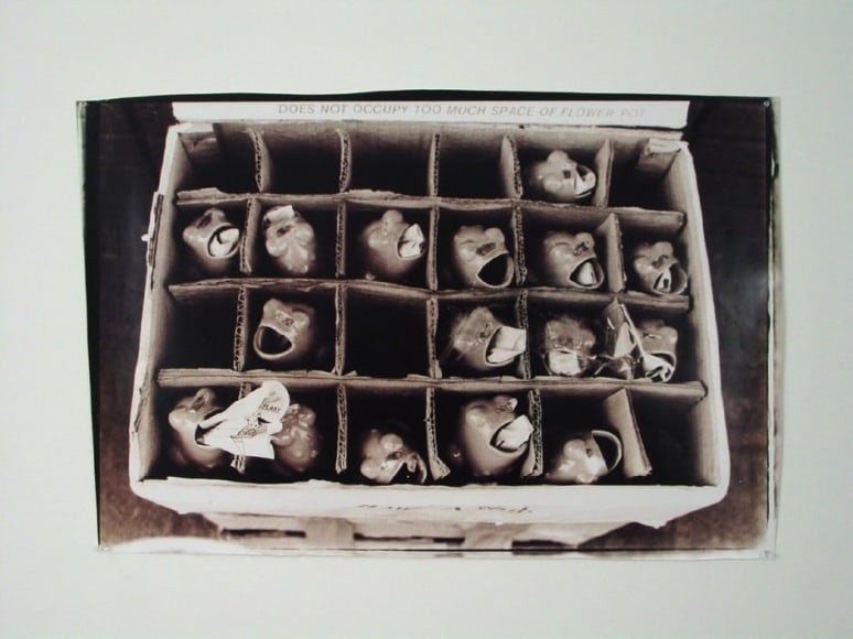 Zak Smith, Does Not Occupy Too Much Space of Flower Pot, 2000