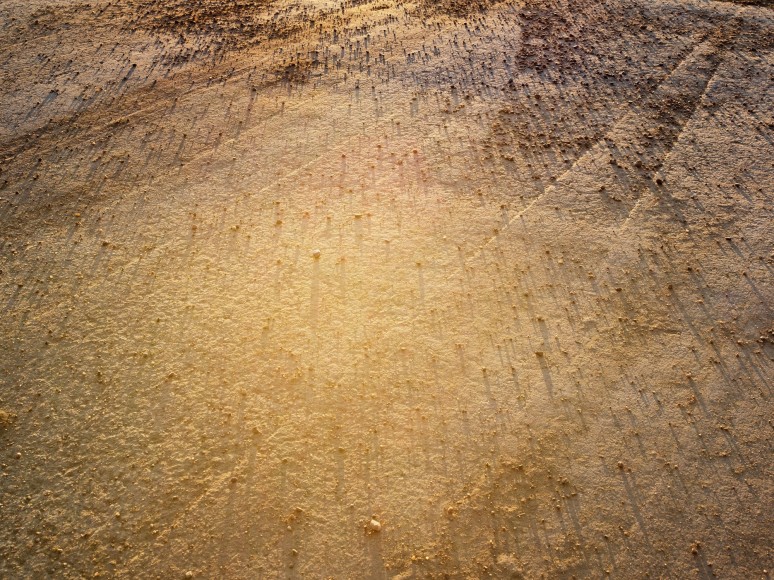 Lucas Foglia, Gas Station Gravel, Eden, Wyoming, 2009