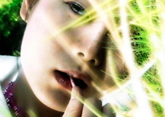 Susan Choi, Sterilized Cherry, 2004