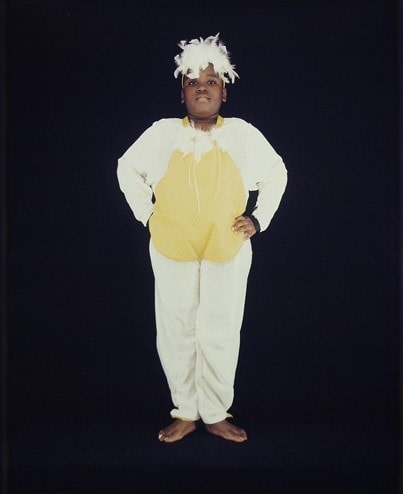 Julie Moos, Radiant (Gander with Arms on Hip), 2004