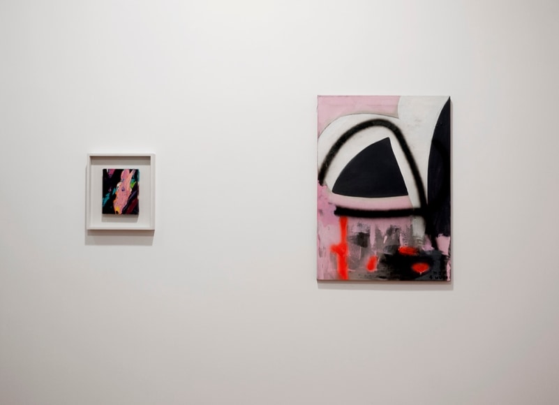 Thaiwijit Puengkasemsomboon and Sam Francis installation image