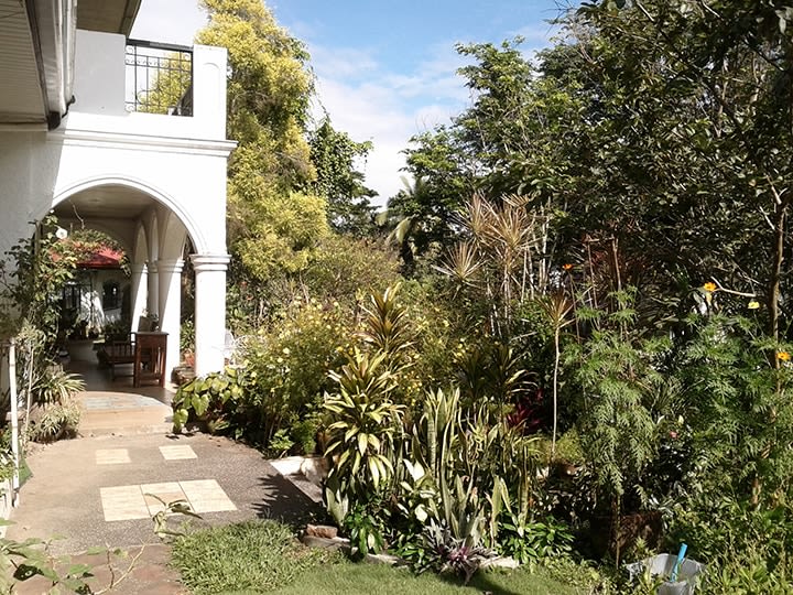 Mariano Ching, Philippines