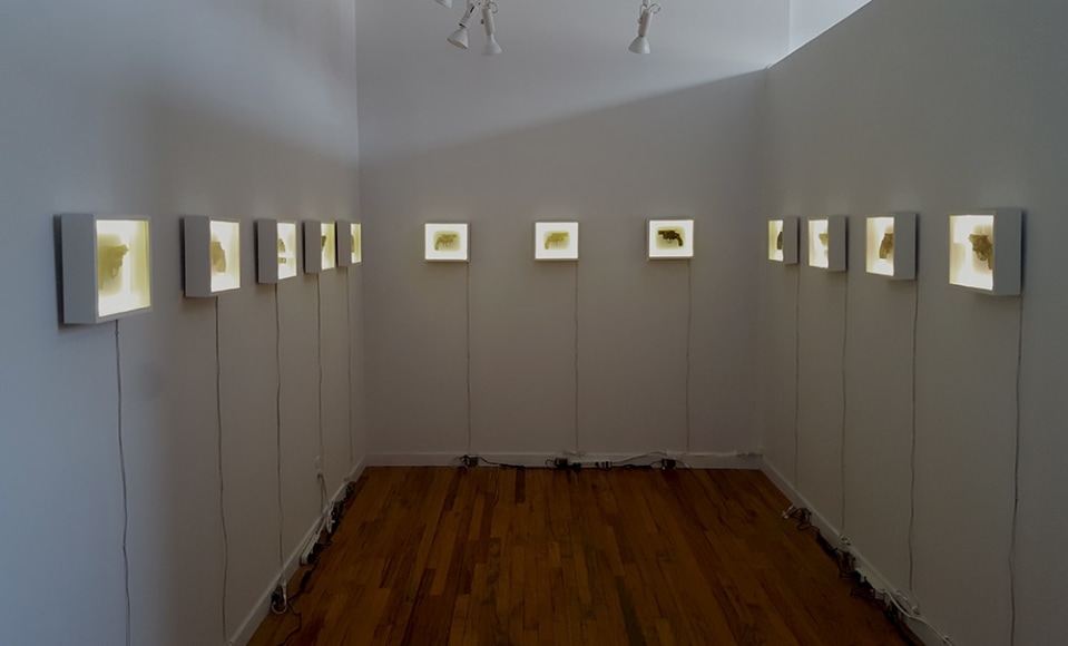 nikki luna handgun installation