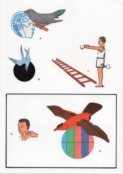 dina gadia Sign for an Institution 6, 2017 Collage, dry transfer, gouache and sharpie pen 11 1/8 x 8 1/4 in. / 28 x 21 cm.