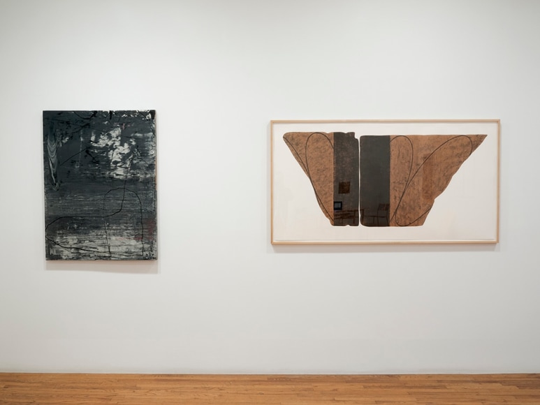 Thaiwijit Puengkasemsomboon and Robert Mangold