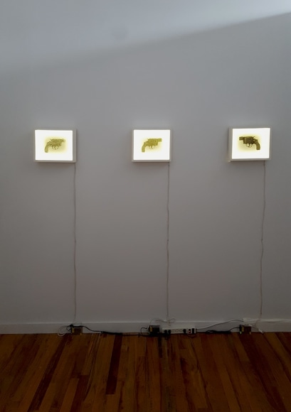 nikki luna handgun lightbox installation