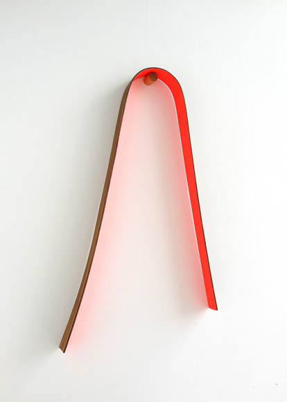 chiaozza Shapeless Shape No. 001, 2017 Acrylic and oil on wood, with wood dowel 24 x 11 x 2 in. / 61 x 27.9 x 5.1 cm.