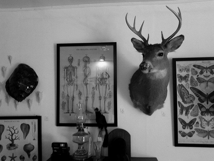 Gary Ross Pastrana, Philippines