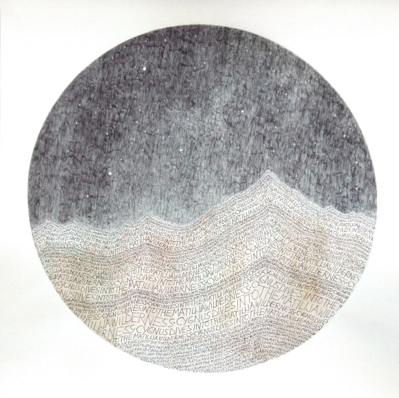 Russell Crotty, Cygnusdives, 2010