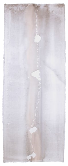 NAOAKI SAKAMOTO, Australia, November 2015