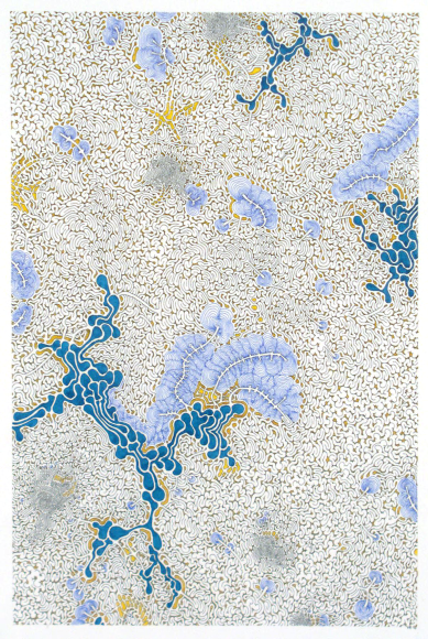 Congestive Contamination 2004