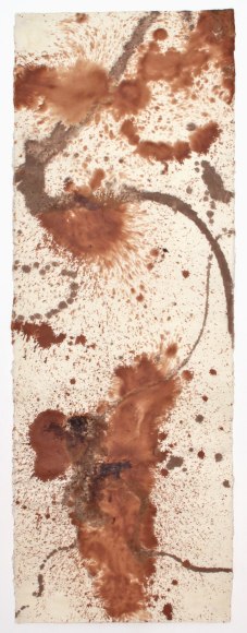 NAOAKI SAKAMOTO, Tokachi River estuary, Hokkaido, July 2011