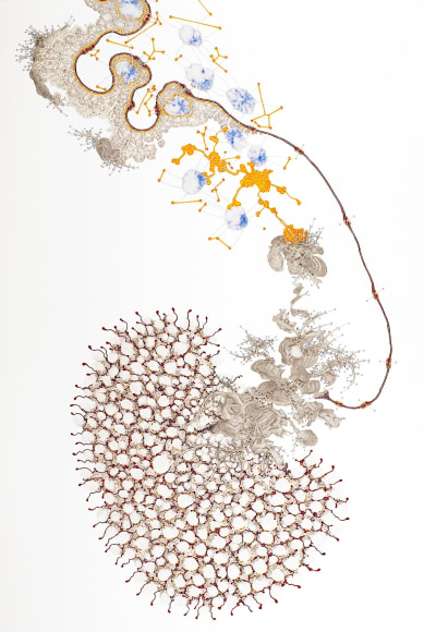 Daniel Zeller Michel Soskine