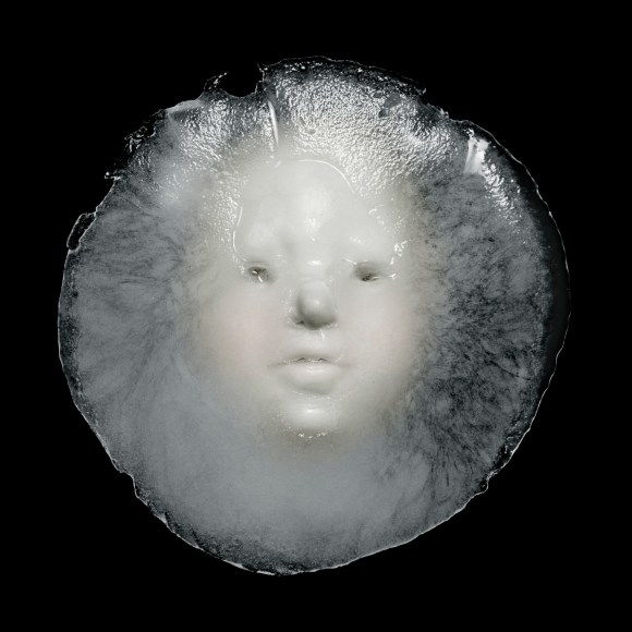 Patrick Bailly-Ma&icirc;tre-Grand, Hibernatus, 2010