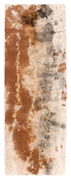 NAOAKI SAKAMOTO, Tokachi River estuary, Hokkaido, July 2011