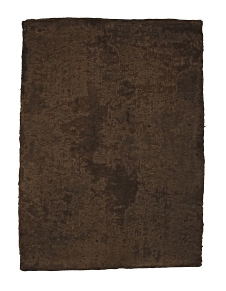 NAOAKI SAKAMOTO, Atelier Morino, Hokkaido, 2006 - 2016