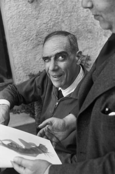 Henri Cartier-Bresson, &laquo; Henri LAURENS, 1951 &raquo;