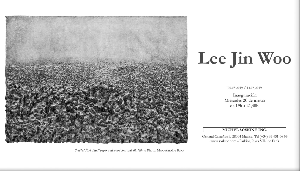 Lee Jin Woo Michel Soskine