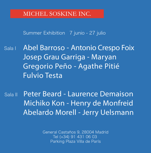 summer show michel soskine