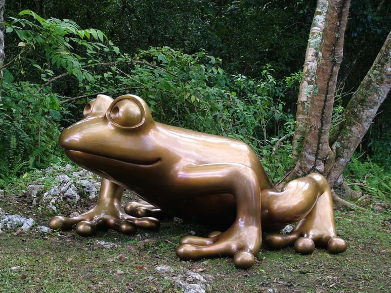 Cavernas del Rio Camuy, Camuy, Puerto Rico