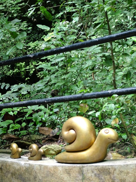Cavernas del Rio Camuy, Camuy, Puerto Rico
