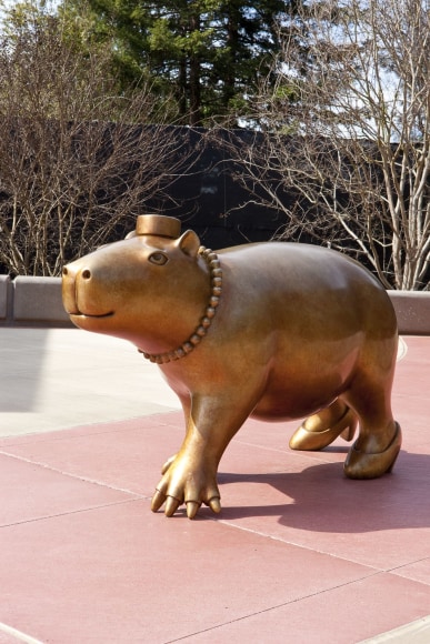 Another World, Happy Hallow Zoo, San Jose, CA