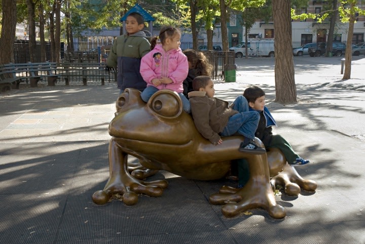 Large Coqui, PS 20, New York, NY