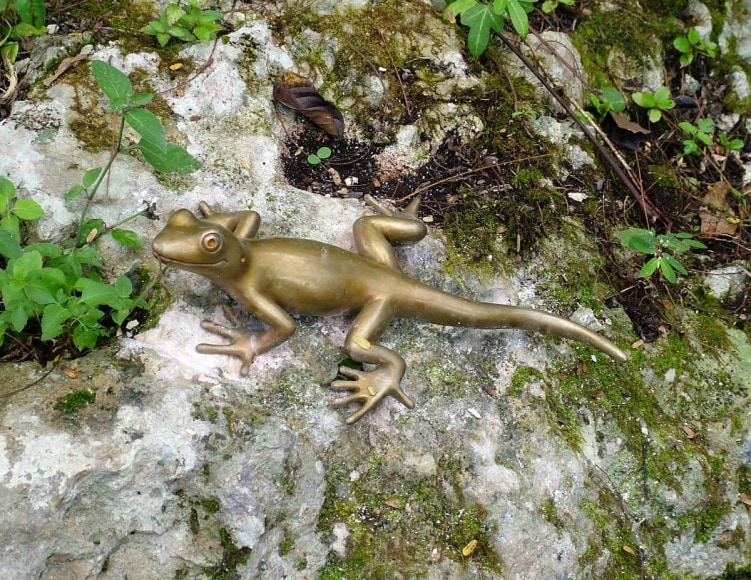 Cavernas del Rio Camuy, Camuy, Puerto Rico
