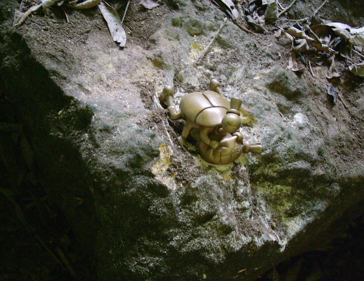 Cavernas del Rio Camuy, Camuy, Puerto Rico