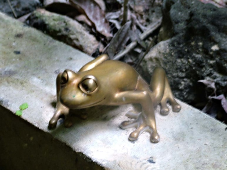 Cavernas del Rio Camuy, Camuy, Puerto Rico
