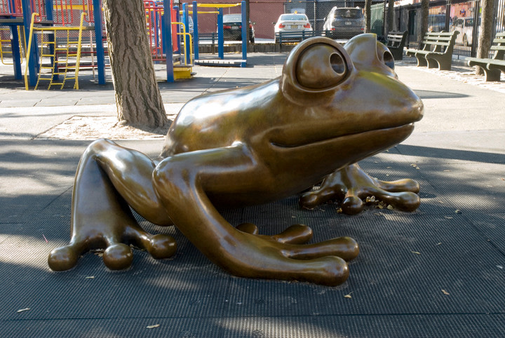 Large Coqui, PS 20, New York, NY