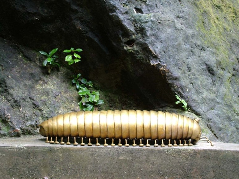 Cavernas del Rio Camuy, Camuy, Puerto Rico