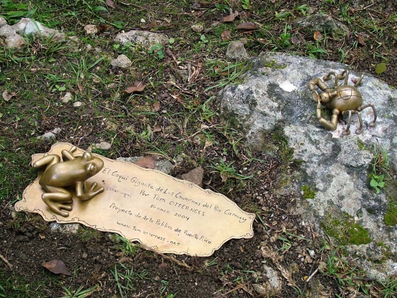 Cavernas del Rio Camuy, Camuy, Puerto Rico