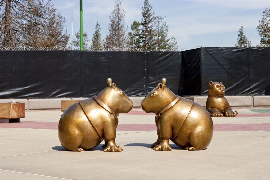 Another World, Happy Hallow Zoo, San Jose, CA