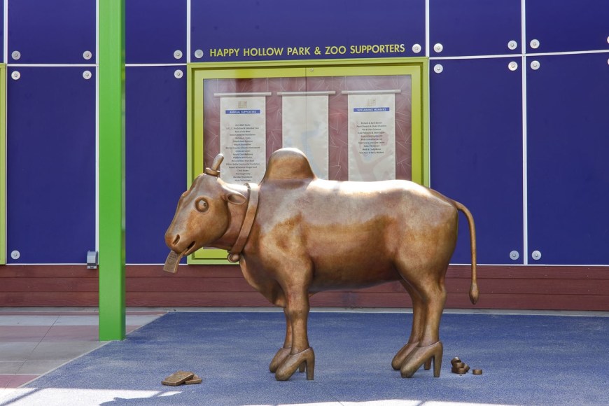 Another World, Happy Hallow Zoo, San Jose, CA