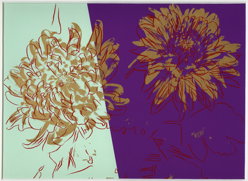 Kiku Flower - Warhol